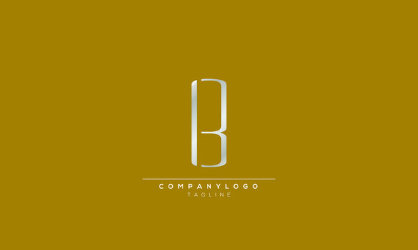 B 13 B13 Abstract initial monogram letter alphabet logo design