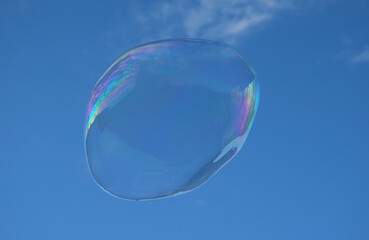 Soap bubble flying in a sunny day