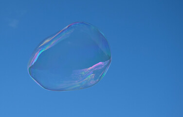 Soap bubble flying in a sunny day
