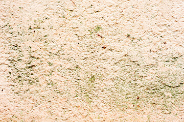 Texture of a concrete wall with cracks and scratches which can be used as a background