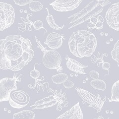 Vegetables set, harvest. Cabbage, potatoes, tomatoes, beets, carrots, green peas, paprika. Vitamins, countryside, agriculture, healthy food. Hand-drawn vector graphic, illustration. Doodle, sketch