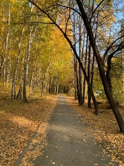 path in park