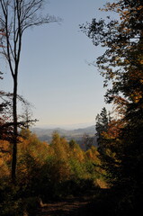 Owl Mountains, Poland