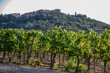 Naklejka premium Montalcino