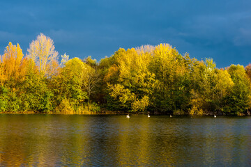 Sunlit autumn trees at lake, reflections in water surface, dark blue sky in background