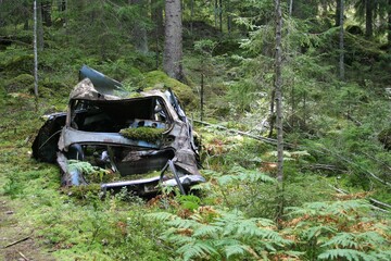 An old, broken car is abandoned in the forest. It rusty, broken and growing moss.
