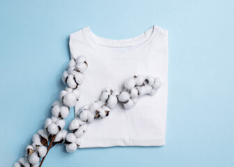 White T-shirt and branch with cotton blossoms dry flowers on blue background, Concept of natural...
