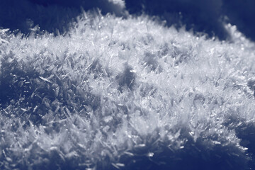 Obraz premium Frost covered with snow. Winter composition. Macro photography of snow. For wallpaper and background.