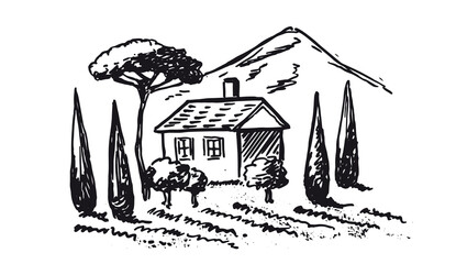 Mountain landscape. Vine plantation landscape. Hand drawn vector illustration.