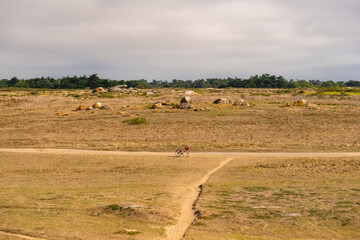 Yeu island in France, landscape