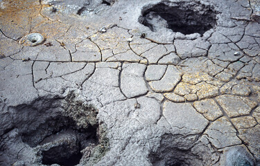 Bison tracks in hot spring mud, Yellowstone National Park © Gerwin Schadl