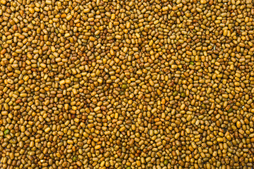Moth beans or matki beans (Vigna aconitifolia), is a indian food.