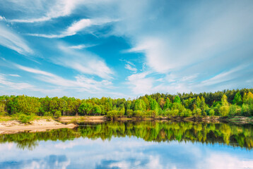 Summer Forest On River Coas. River Water Nature Landscape. Belarus, Europe