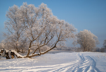 Winter day on the river, partially covered with ice. Trees in hoarfrost on the bank. Snowy road along the river.