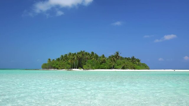 Whole tropical island with palm trees in wild ocean. Travel destinations. Caribbean nature