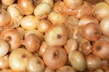 Pile of white onion