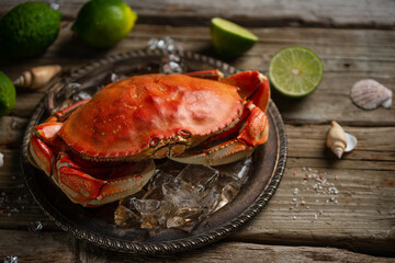 Cooked king crab on plate with ice background. Delicious meal. Seafood concept. View from above. Space for text. Space for text. Restaurant menu.