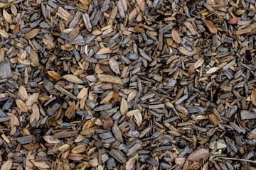 textured wood chips and other pieces of timber, leaves, sticks and dirt. dry leaves have fallen from a tree above. seasons are changing, autumn, fall colors and brown gray neutral colored tones. 