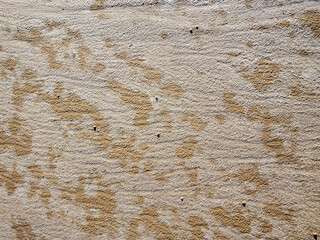 The sand and salt crystals formed a beautiful texture. View of the salt marsh at noon