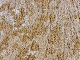 The sand and salt crystals formed a beautiful texture. View of the salt marsh at noon