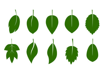 Set of green various Leaves. Vector Pattern. Vector Illustration. Plant in garden.