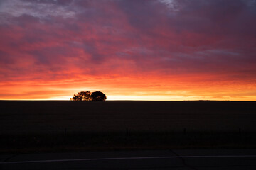 Fototapeta premium A horizontal photo of a beautiful sunset with some trees.