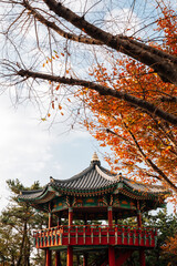 Fototapeta premium Haewoljeong Korean traditional pavilion with autumn leaves at Haeundae Dalmaji-gil Moontan Road in Busan, Korea