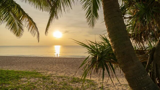 4K timelapse motion control slider and pan,tilt of Palm trees in the foreground with tropical sea sunset or sunrise evening time Beautiful light nature Dramatic sky Clouds over sea sunset