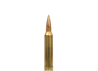 7mm Bullet