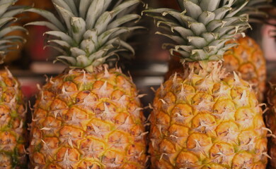 Pineapple is a fruit with a rough surface in the shape of an ovoid, sweet taste and strong, rustic leaves.