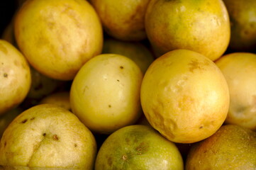 Guava tropical fruit of great yellow flavor, with pleasant meatiness or pulp used in sumo or juice