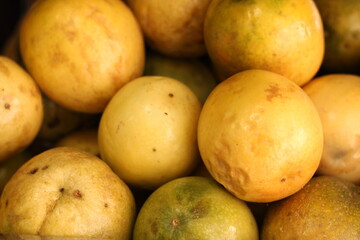Guava tropical fruit of great yellow flavor, with pleasant meatiness or pulp used in sumo or juice