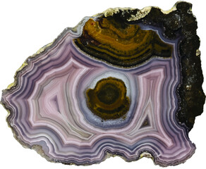 a sliced agate crystal in purples isolated on white background