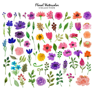 Floral Watercolor Collection