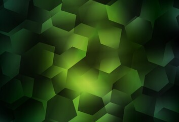 Light Green vector texture with colorful hexagons.