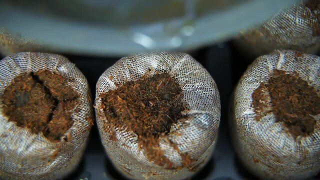 Macro closeup of pouring boiling hot water from pan pot on expanding absorbing mesh peat pellets tablets above view on black tray potted plants containers for growing indoor garden seedlings in winter