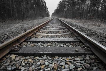 Obraz premium Gleis im Wald