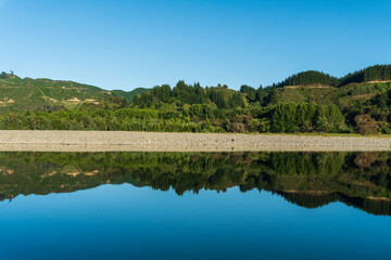 river and trees