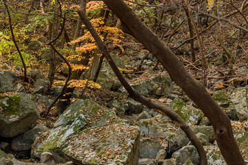 Large granite boulders on mountainside