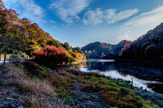 Trees in autumn colors of shore of mountain lake © aminkorea