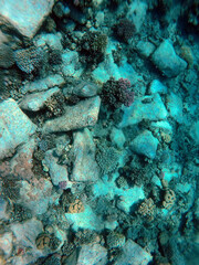 A mysterious jumble of limestone building blocks at the bottom of the Red Sea. Sharm El Sheikh, Egypt
