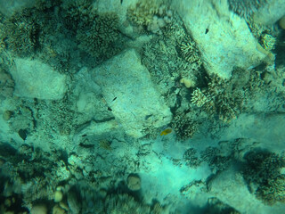 A mysterious jumble of limestone building blocks at the bottom of the Red Sea. Sharm El Sheikh, Egypt