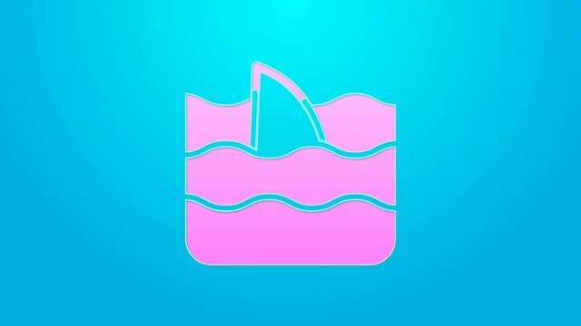 Pink line Shark fin in ocean wave icon isolated on blue background. 4K Video motion graphic animation
