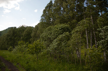 Фото из экопоселения на Алтае "Чачжаевка"