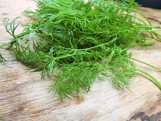 ハーブ（ディル）