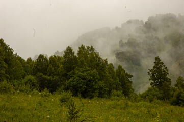 Фото из экопоселения на Алтае "Чачжаевка"