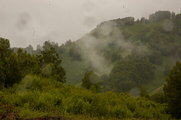 Фото из экопоселения на Алтае "Чачжаевка"