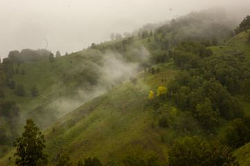 Фото из экопоселения на Алтае "Чачжаевка"
