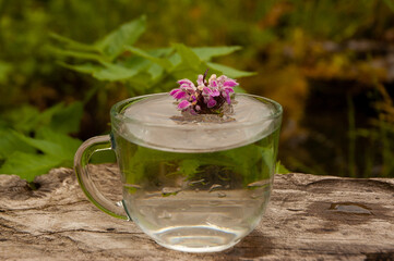 Фото из экопоселения на Алтае "Чачжаевка"