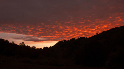 Фото из экопоселения на Алтае "Чачжаевка"